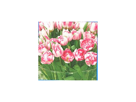 Serwetki Decoupage - Wazon Pełen Tulipanów