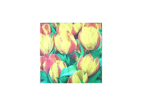 Serwetki Decoupage - Dwukolorowe Tulipany