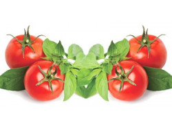 serwetki decoupage - Pomidory z Bazylią