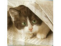 Serwetki Decoupage - Kot z gazetą